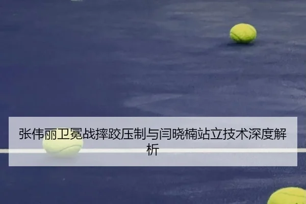 zhang-wei-li-wei-mian-zhan-shuai-jiao-ya-zhi-yu-yan-xiao-nan-zhan-li-ji-shu-shen-du-jie-xi-3-829.jpg