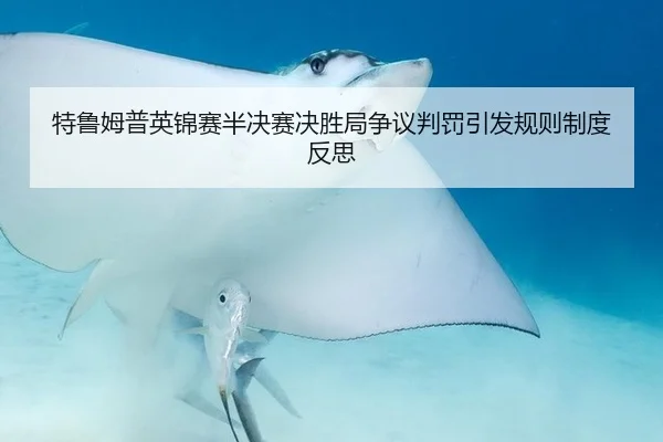 特鲁姆普英锦赛半决赛决胜局争议判罚引发规则制度反思